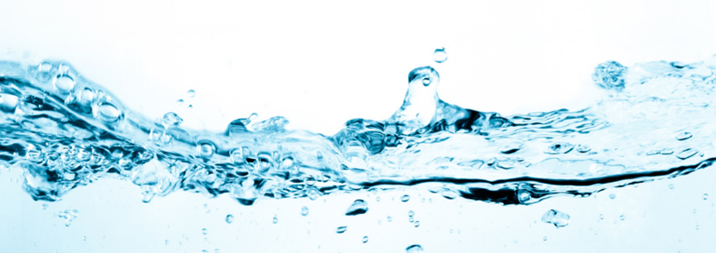 Mercury Amalgam Detoxification: <br>Nutritional & Supplement Support