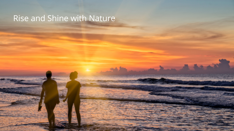 Your Fun & Fresh Summer Wellness Guide – A Holistic Dentist’s Perspective